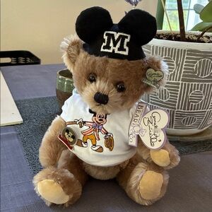 Charming Teddy Bear with Black Hat